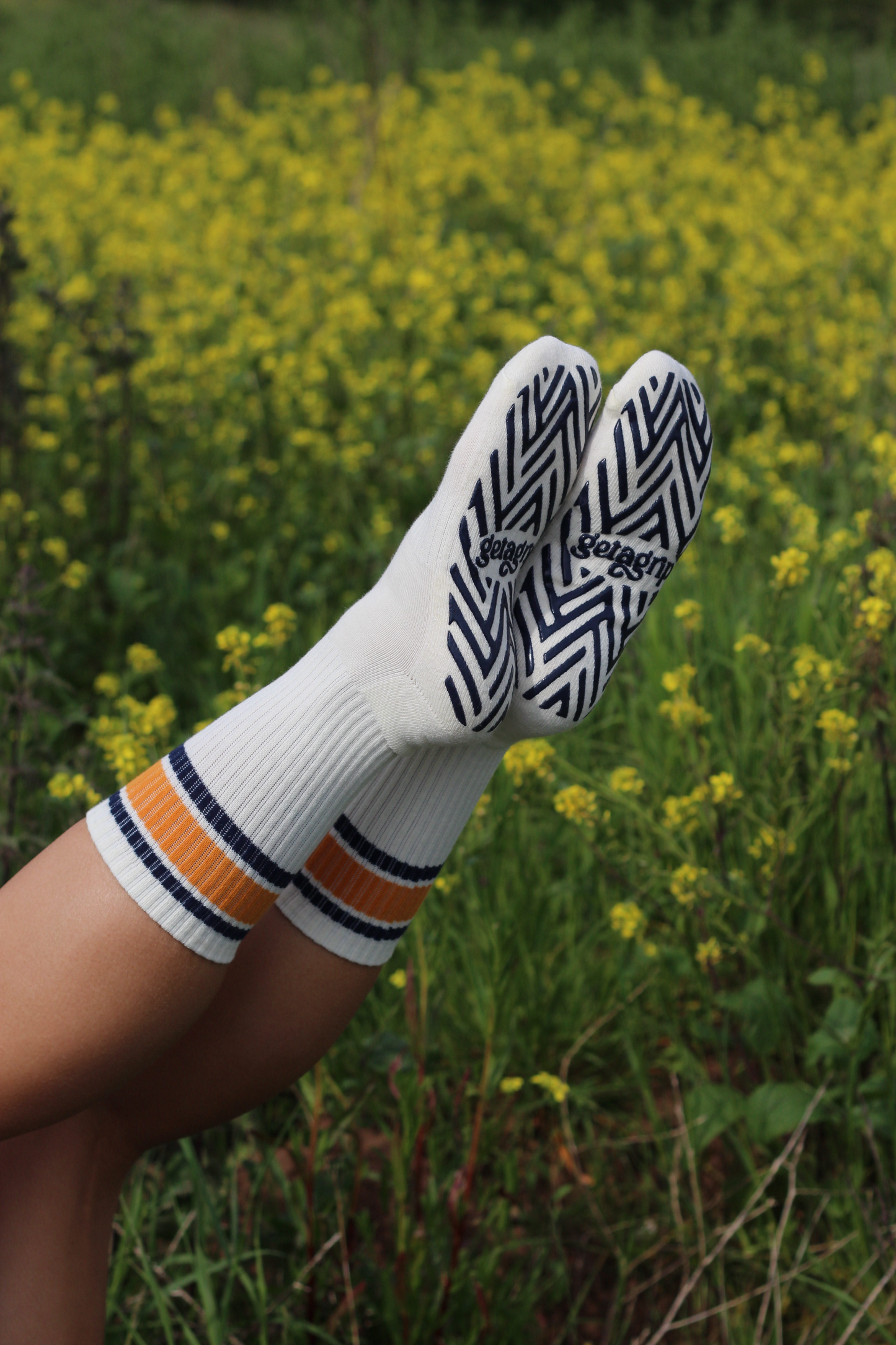 Varsity Stripes